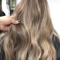 Carta Blanca Salon ico