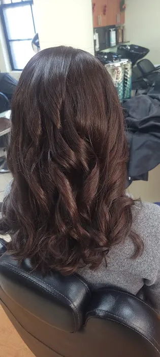 Skyline Hair Designer Picture 5