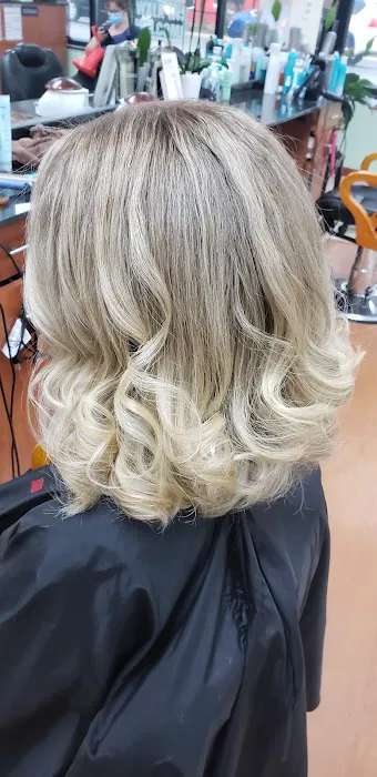 Skyline Hair Designer Picture 6
