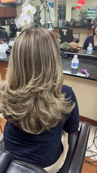 Skyline Hair Designer Picture 1