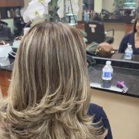 Skyline Hair Designer ico
