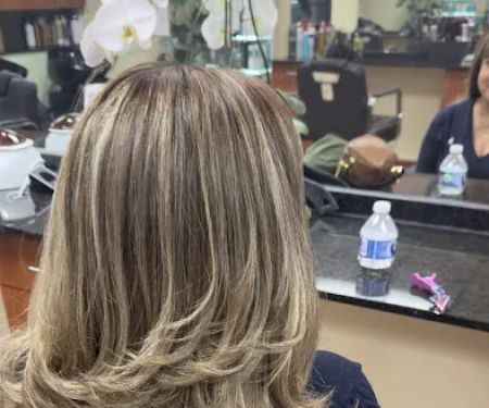 Skyline Hair Designer
