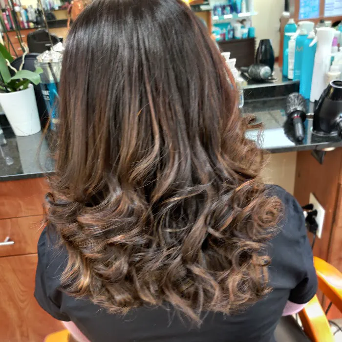 Skyline Hair Designer Picture 10