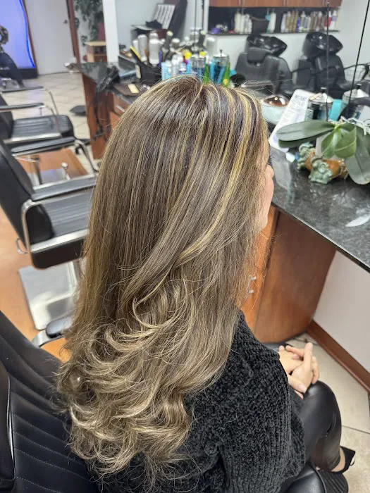 Skyline Hair Designer Picture 3