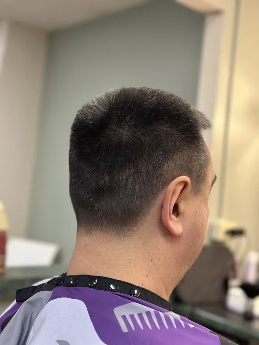 Balkan Cuts Picture 4
