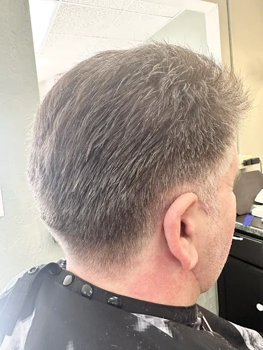Balkan Cuts Picture 6