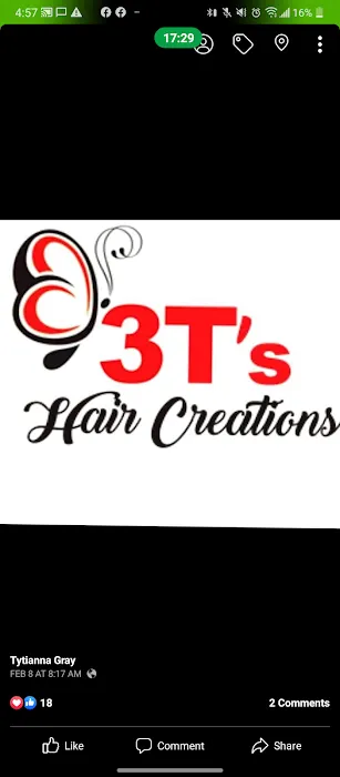 3 T's Hair Creations LLC Picture 1