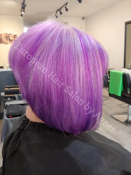 European Hair Salon Inc Picture 5