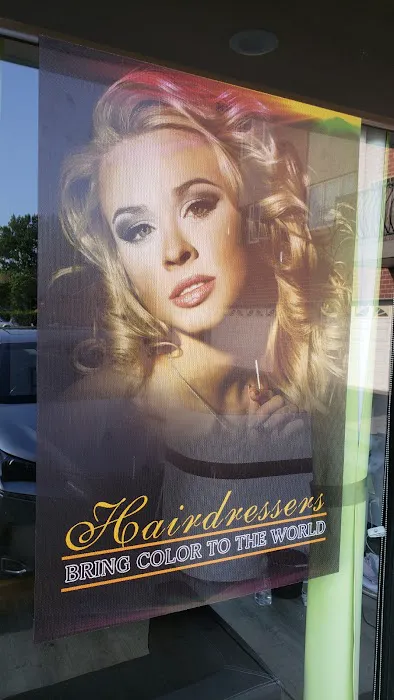 European Hair Salon Inc Picture 2