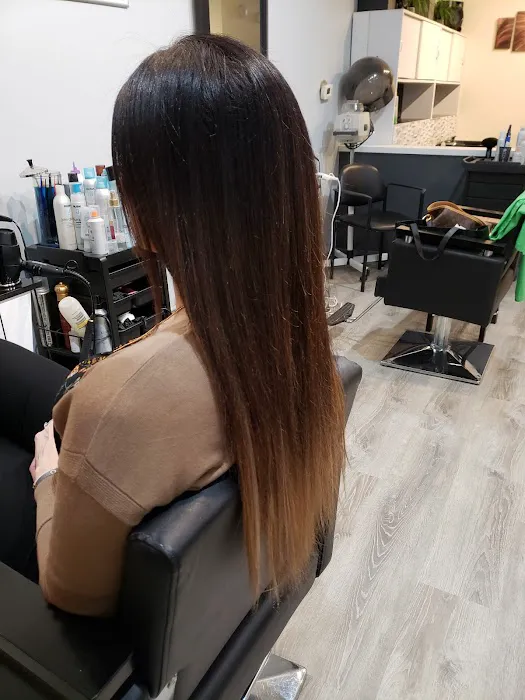 European Hair Salon Inc Picture 4