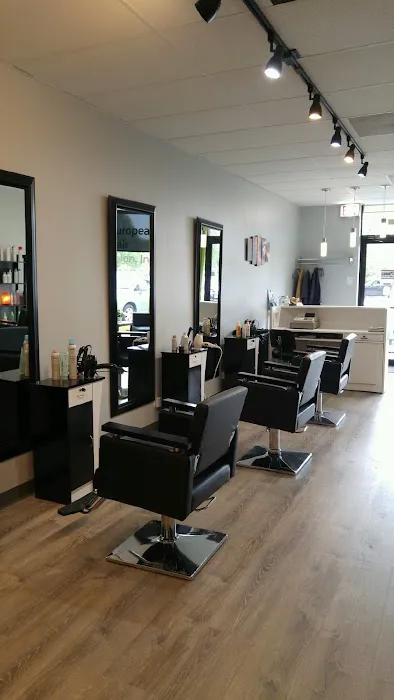 European Hair Salon Inc Picture 1