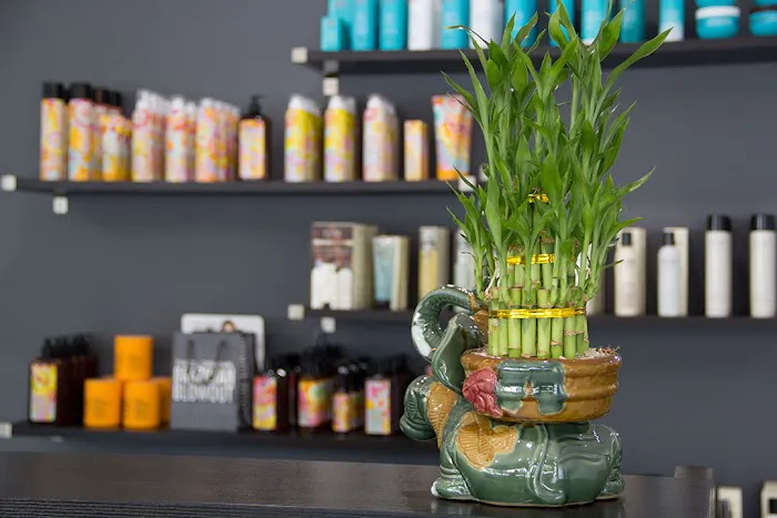 SOS Salon and Spa Picture 3