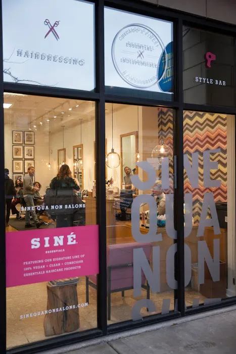 Sine Qua Non Salon Picture 10