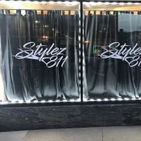Stylez 811 ico