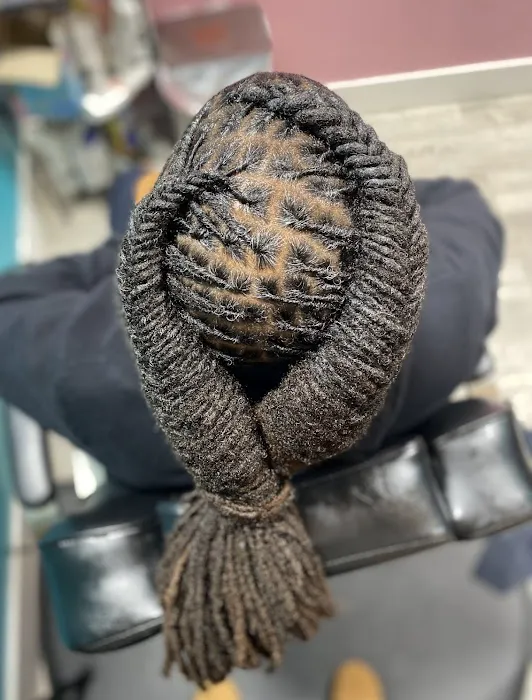 Briii Locs Picture 6