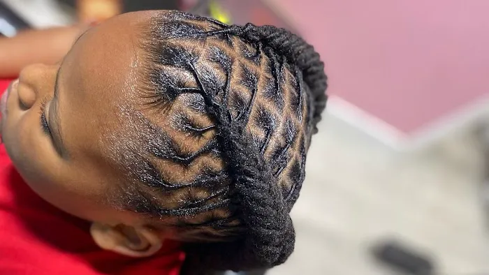 Briii Locs Picture 4