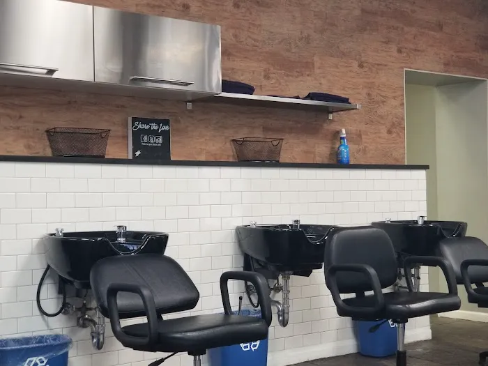 Blu Salon Chicago Picture 2