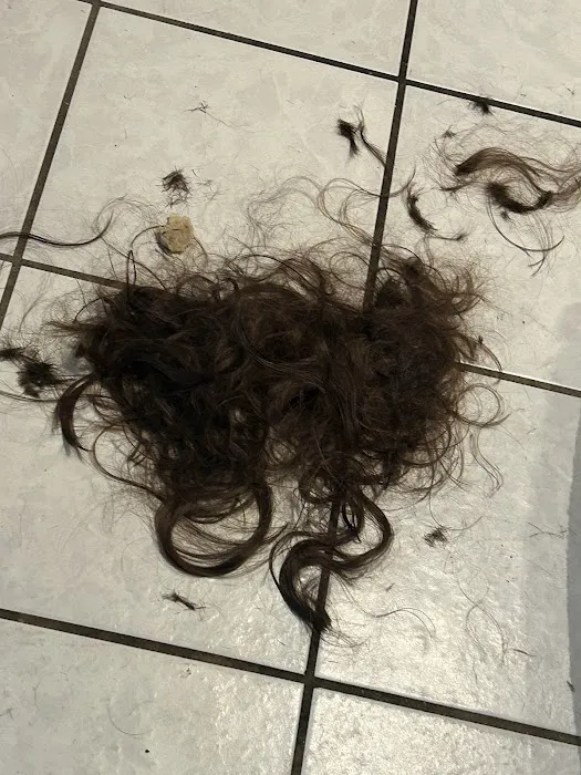 Fantastic Sams Cut & Color of Harwood Heights Picture 6