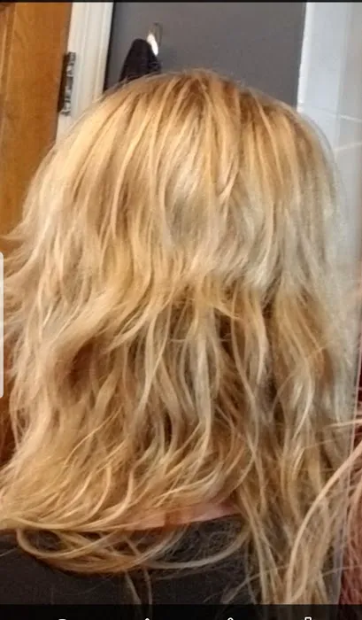 Fantastic Sams Cut & Color of Harwood Heights Picture 1