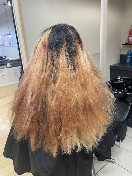 Hair Cuttery Color & Haircuts - Harwood Heights Picture 3