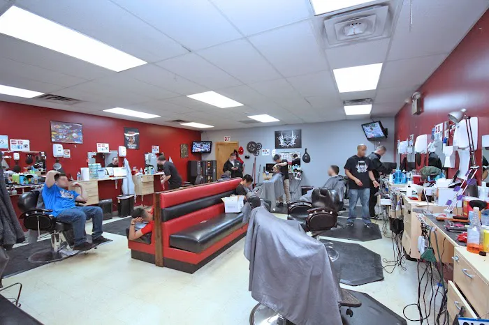 Melrose Platinum Fades Picture 10