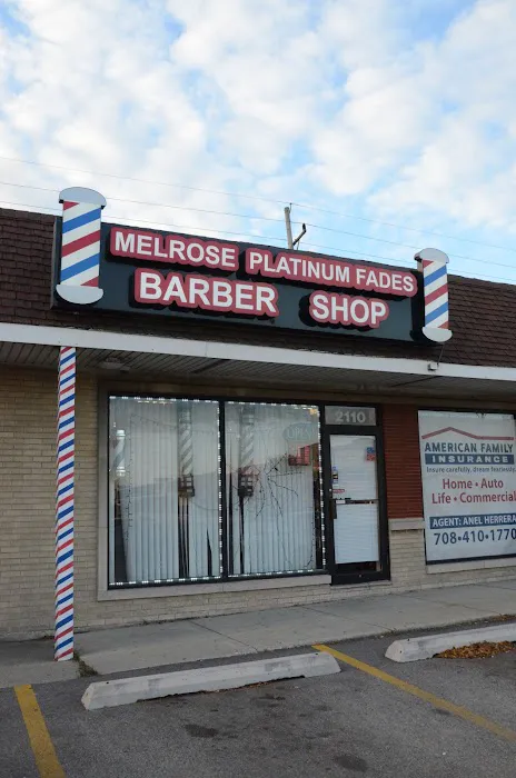Melrose Platinum Fades Picture 5