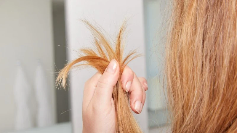 How to Repair Split Ends and Avoid Them Until Your Next Haircut