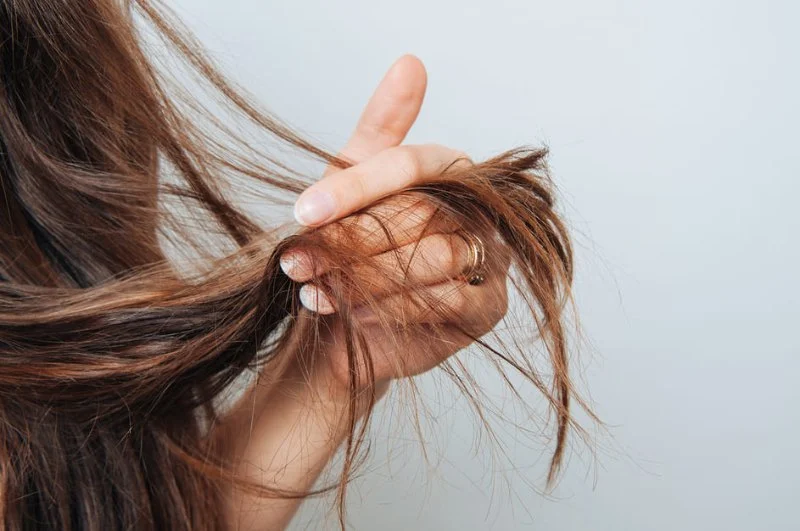 Why Is My Hair Oily at Roots but Dry at Ends and How to Fix It