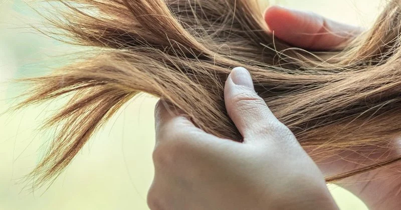 How to Prevent Split Ends While Growing Long Hair Naturally